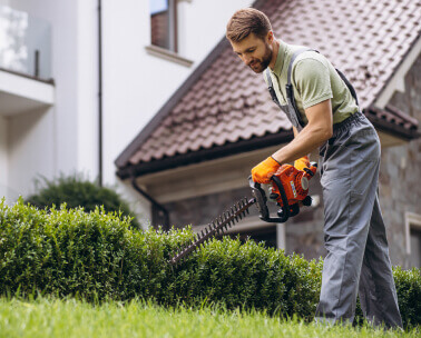 Покос травы триммером на участке в Тюмени — пример работы