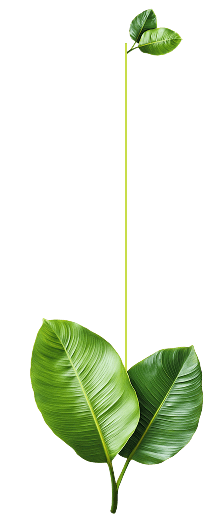 Декоративный элемент