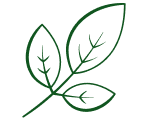 Декоративный элемент