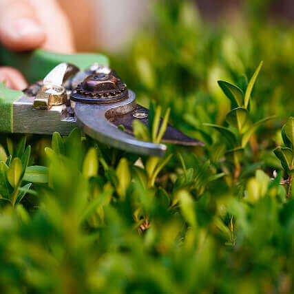 Покос травы на участке в Тюмени — аккуратная работа