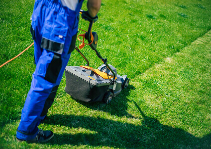 Цена покоса травы за сотку — что влияет