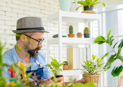 Покос травы триммером — леска или диск