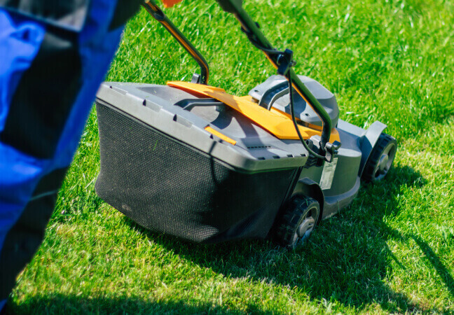 Покос травы на участке — результат после работ