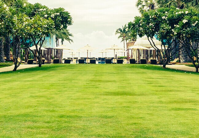 Покос бурьяна и высокой травы — пример