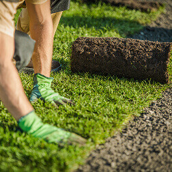 Покос газона — ровный срез
