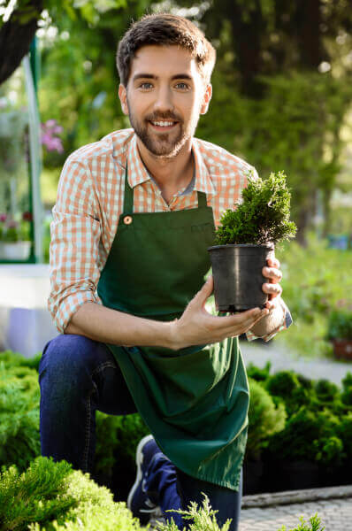 Отзывы о покосе травы — Тюмень